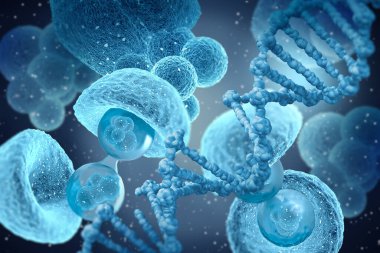 Tıbbi konsept, hücre bölünmesi bir ebeveyn hücresinden iki ya da daha fazla kız hücresi oluşturma sürecidir.