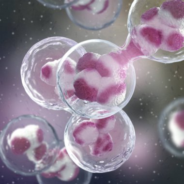 Tıbbi konsept, hücre bölünmesi bir ebeveyn hücresinden iki ya da daha fazla kız hücresi oluşturma sürecidir.