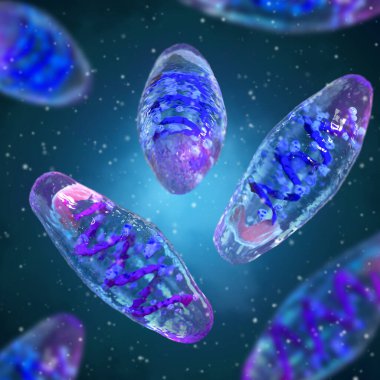 Tıbbi arka plan, Yersiniaceae ailesinden bir gram negatif bakteri türü olan hıyarcıklı vebanın bulaşıcı maddesi veba zatürresi ve septisemik vebaya neden olur.