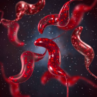 Tıbbi arka plan, bakteri spirili, kıvrımlı spiral şekil, Campylobacter cinsi, C. jejuni, C. coli enterokolit, patojen, bağırsak hastalıklarının nedensel faktörü, 3D görüntüleme
