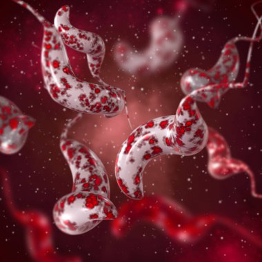 Tıbbi arka plan, bakteri spirili, kıvrımlı spiral şekil, Campylobacter cinsi, C. jejuni, C. coli enterokolit, patojen, bağırsak hastalıklarının nedensel faktörü, 3D görüntüleme