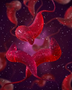 Tıbbi arka plan, bakteri spirili, kıvrımlı spiral şekil, Campylobacter cinsi, C. jejuni, C. coli enterokolit, patojen, bağırsak hastalıklarının nedensel faktörü, 3D görüntüleme