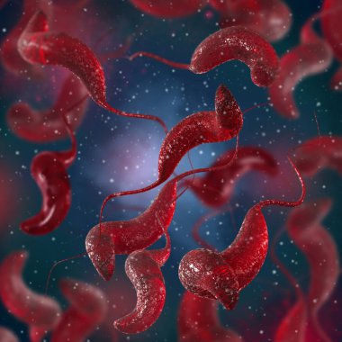 Tıbbi arka plan, bakteri spirili, kıvrımlı spiral şekil, Campylobacter cinsi, C. jejuni, C. coli enterokolit, patojen, bağırsak hastalıklarının nedensel faktörü, 3D görüntüleme
