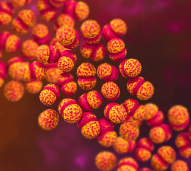 Tıbbi geçmiş, Streptococcus pneumoniae, pnömokok, pnömokok enfeksiyonu, zatürreeye neden olan tehlikeli bakteriler, solunum yolu enfeksiyonu, 3D