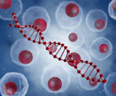 Tıbbi konsept, hücre bölünmesi, kök hücre, DNA ipliği, mitoz bölünme bir ana hücreden iki ya da daha fazla kız hücresi oluşturma süreci, üç boyutlu oluşturma