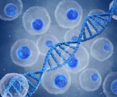 Tıbbi konsept, hücre bölünmesi, kök hücre, DNA ipliği, mitoz bölünme bir ana hücreden iki ya da daha fazla kız hücresi oluşturma süreci, üç boyutlu oluşturma