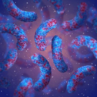 Tıp eğitimi, patojenik bakteri salmonellası, enterobakteriler, çubuk şekilli, bağırsak sistemini etkileyen hastalıklar, 3 boyutlu görüntüleme.