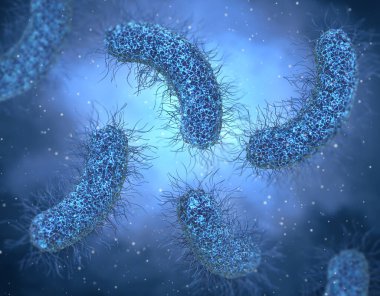 Tıp eğitimi, patojenik bakteri salmonellası, enterobakteriler, çubuk şekilli, bağırsak sistemini etkileyen hastalıklar, 3 boyutlu görüntüleme.