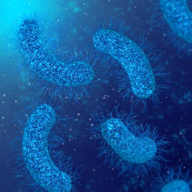 Tıp eğitimi, patojenik bakteri salmonellası, enterobakteriler, çubuk şekilli, bağırsak sistemini etkileyen hastalıklar, 3 boyutlu görüntüleme.