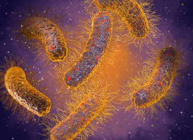 Tıp eğitimi, patojenik bakteri salmonellası, enterobakteriler, çubuk şekilli, bağırsak sistemini etkileyen hastalıklar, 3 boyutlu görüntüleme.