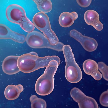 Tıbbi arka plan, tetanos bakterisi, tetanos patojeni, 3 boyutlu görüntüleme.