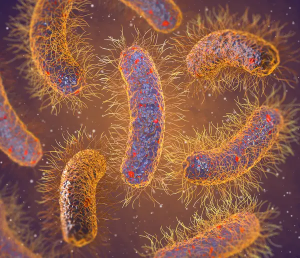 Tıp eğitimi, patojenik bakteri salmonellası, enterobakteriler, çubuk şekilli, bağırsak sistemini etkileyen hastalıklar, 3 boyutlu görüntüleme.