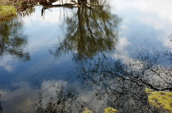 Krásná Říční Krajina Odraz Vodě Řeky Povrch Jezera Slunečného Dokonalého — Stock fotografie