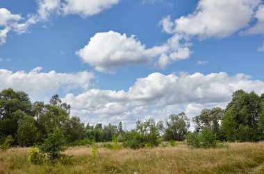 Güzel yaz kırsal manzarası. Ağaçlı ve çimenli çayır Bulutlara karşı