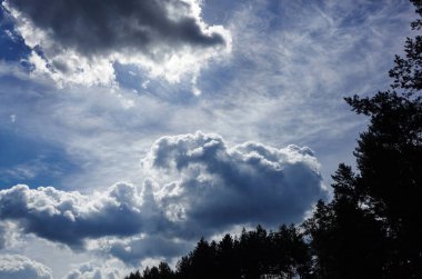 Yağmurdan önce dramatik kara bulut. Kümülüs bulutları yeşil ağaçlara karşı mavi gökyüzü. Güzel yaz kırsal manzarası
