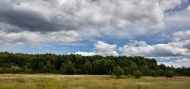 Gökyüzüne ve çayırlara karşı sık ormanın panoramik fotoğrafı. Bir sıra ağacın ve mavi gökyüzünün güzel manzarası