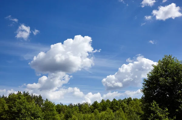 stock image Blue sky background with cumulus clouds against the green trees. Beautiful summer rural landscape