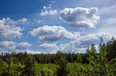 Kümülüs bulutları yeşil ağaçlara karşı mavi gökyüzü. Güzel yaz kırsal manzarası