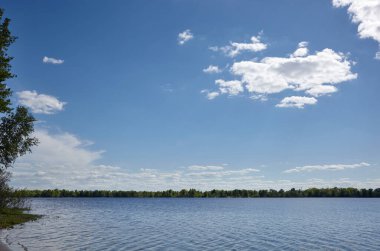 Güzel nehir manzarası. Güneşli bir günde göl yüzeyi. Suyun yüzeyi ağaçların arka planına ve mavi gökyüzüne karşı. Bulanık resim, seçici odak