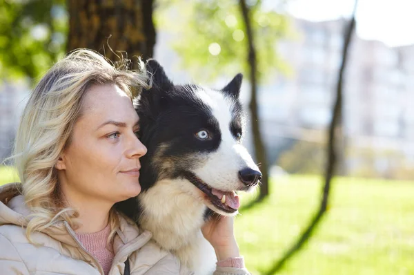 Owner Plays Siberian Laika Dog Autumn Park Friendship Dog Woman — Stock Photo, Image