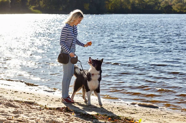 Besitzerin Spielt Mit Sibirischem Laika Hund Strand Freundschaft Zwischen Hund Stockfoto