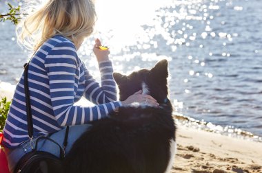 Plajda Sibirya laika köpeği olan bir adam. Bir köpekle bir kadının arkadaşlığı.