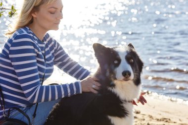 Plajda Sibirya laika köpeği olan bir adam. Bir köpekle bir kadının arkadaşlığı.