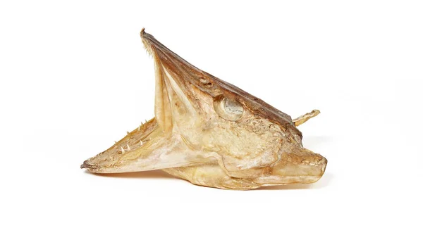 Kurumuş Turna Balığı Kafası Beyaz Arka Planda Izole Edilmiş Açık — Stok fotoğraf