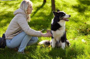 Sahibi sonbahar parkında Sibiryalı bir laika köpeğiyle oynuyor. Bir köpekle bir kadının arkadaşlığı.