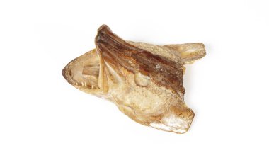 Kurumuş turna balığı kafası beyaz arka planda izole edilmiş. Açık ağızlı ve keskin dişli bir mızrak başı.