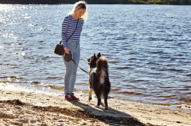 Sahibi sahilde Sibiryalı bir laika köpeğiyle oynuyor. Bir köpekle bir kadının arkadaşlığı.