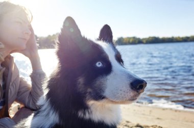 Plajda Sibirya laika köpeği olan bir adam. Bir köpekle bir kadının arkadaşlığı.