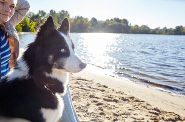 Plajda Sibirya laika köpeği olan bir adam. Bir köpekle bir kadının arkadaşlığı.