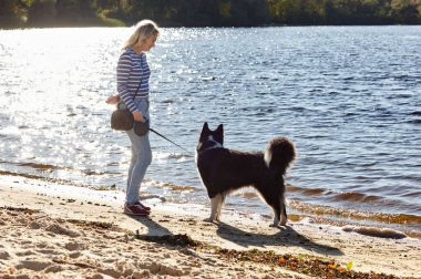 Sahibi sahilde Sibiryalı bir laika köpeğiyle oynuyor. Bir köpekle bir kadının arkadaşlığı.