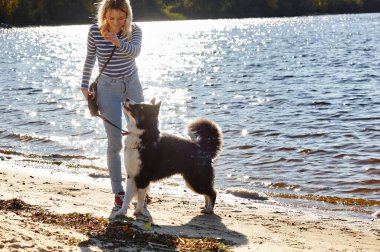 Sahibi sahilde Sibiryalı bir laika köpeğiyle oynuyor. Bir köpekle bir kadının arkadaşlığı.
