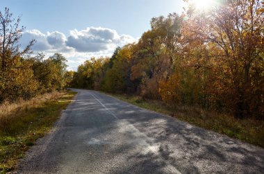 Ağaçların yanındaki asfalt yolda. Kırsal Avrupa 'da bir viraj yolu