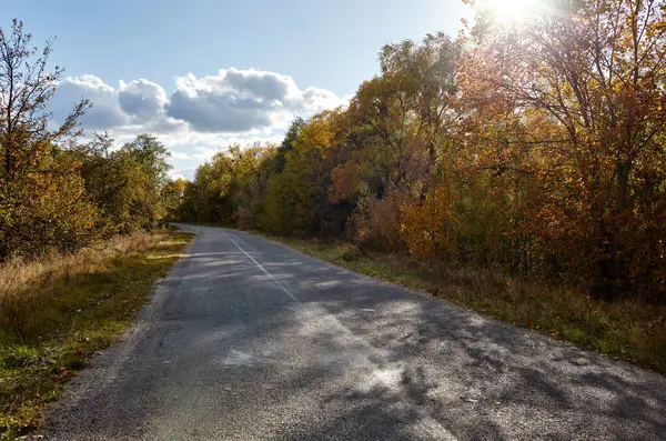 Ağaçların yanındaki asfalt yolda. Kırsal Avrupa 'da bir viraj yolu