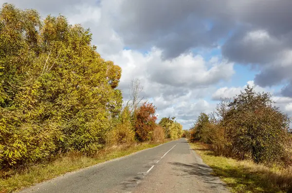 Ağaçların yanındaki asfalt yolda. Kırsal Avrupa 'da banliyö yolu