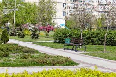 Avrupa 'nın başkenti Kyiv' de çiçek açan ağaçlar ve süslü çalılarla çevrili bir dinlenme alanı. Baharda şehir parkında dinlenmek için bir yer.