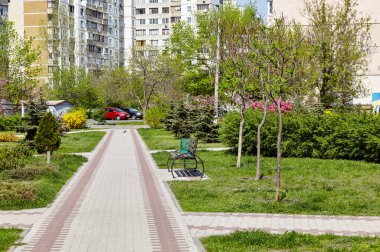 Avrupa 'nın başkenti Kyiv' de çiçek açan ağaçlar ve süslü çalılarla çevrili bir dinlenme alanı. Baharda şehir parkında dinlenmek için bir yer.