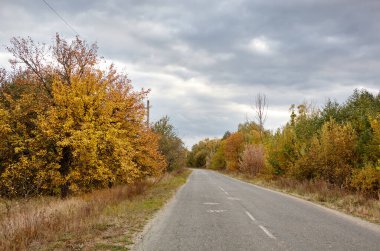 Ağaçların yanındaki asfalt yolda. Kırsal Avrupa 'da bir viraj yolu