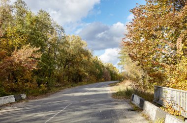 Ağaçların yanındaki asfalt yolda. Kırsal Avrupa 'da bir viraj yolu