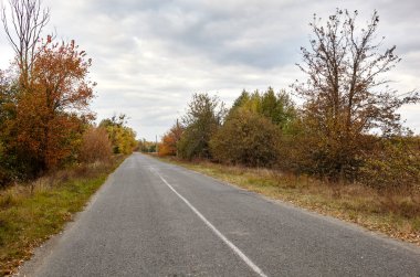 Ağaçların yanındaki asfalt yolda. Kırsal Avrupa 'da banliyö yolu