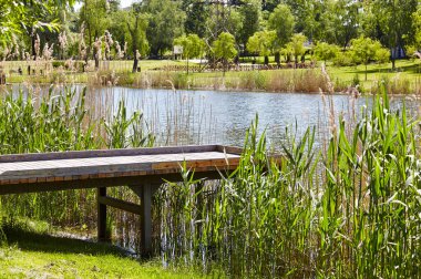 Avrupa 'nın Kyiv kentindeki nehir dolgusu üzerinde ahşap gözlem güvertesi olan dinlenme alanı. Şehir parkında dinlenecek bir yer.