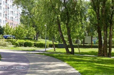 Yol, Avrupa, Kyiv 'de ağaçlar ve süslü çalılarla çevrili. Şehir parkında dinlenme yeri