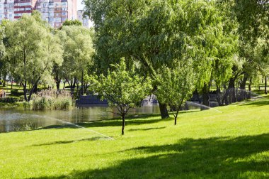 Çimlerin sulanması ve bakımı ve şehir parkında bahçe bakımı için otomatik ekipman. Bahçe sulama sistemi çimenleri suluyor