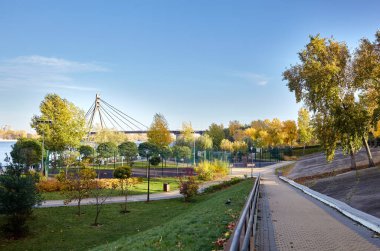 Avrupa, Kyiv 'de ağaçlar ve çimlerle çevrili bir yürüyüş yolu. Sonbahar şehir parkında dinlenme yeri