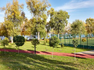 Avrupa, Kyiv 'de ağaçlar ve çimlerle çevrili bir yürüyüş yolu. Sonbahar şehir parkında dinlenme yeri