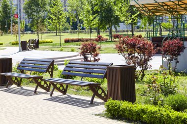 Avrupa 'nın başkenti Kyiv' de çiçek açan ağaçlar ve süslü çalılarla çevrili bir dinlenme alanı. Baharda şehir parkında dinlenmek için bir yer.