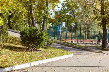 Avrupa, Kyiv 'de ağaçlar ve çimlerle çevrili bir yürüyüş yolu. Sonbahar şehir parkında dinlenme yeri